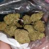 Buy Oreoz Cannabis Strain