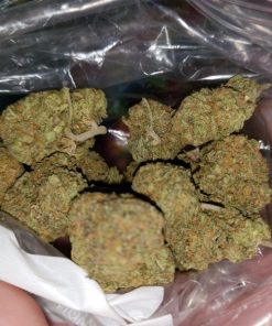 Oreoz Cannabis Strain