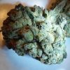 Trump OG Cannabis Strain