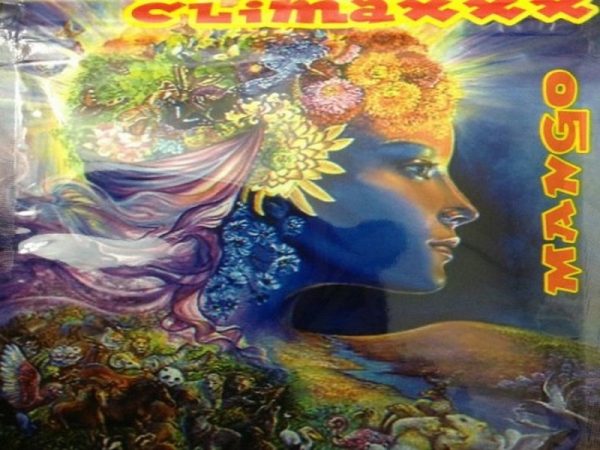 Buy Down2Earth Climaxxx Herbal Incense