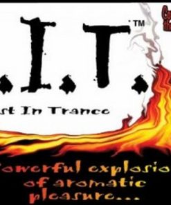 Lost In Trance Herbal Incense