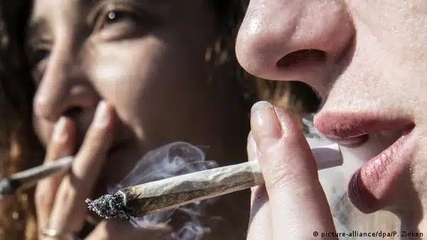 Best Herbal Incense Website